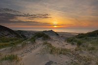 Egmond gold