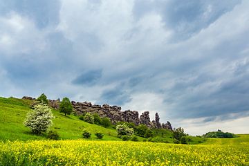 Landscape with trees and rocks in the Harz area, Germany