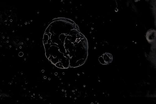 Abstract Zwart | Sterrenstof | Fine Art Photo