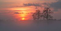 Coucher de soleil dans le brouillard au Doezumertocht par Annie Jakobs Aperçu