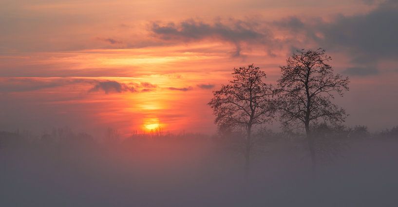 Sonnenuntergang im Nebel an der Doezumertocht von Annie Jakobs