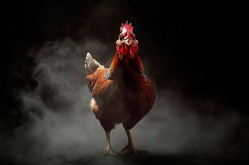 Chicken by Poster Art Shop