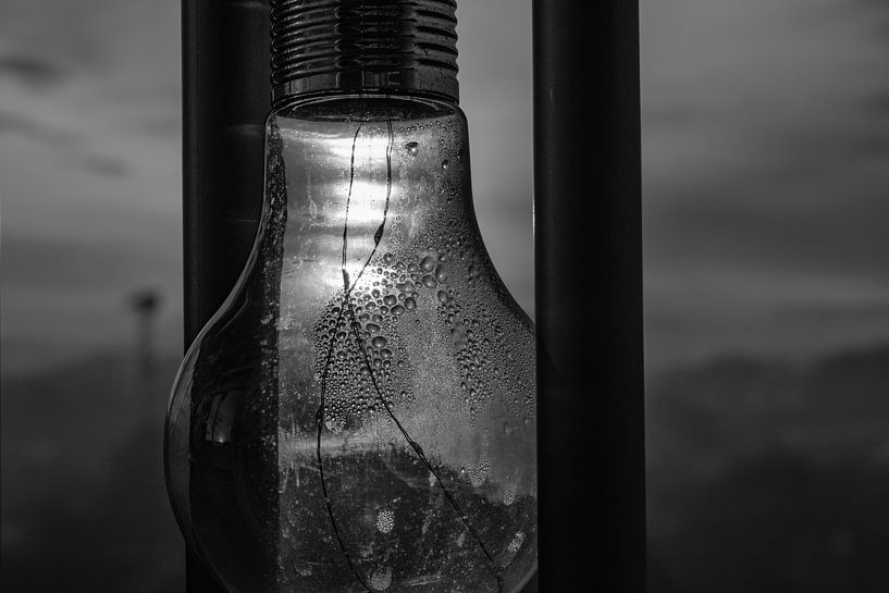 Black and white lamp by Ann Barrois