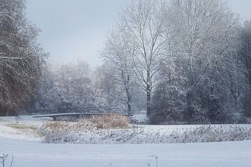 Westerpark in the snow by Ellen Weidenaar