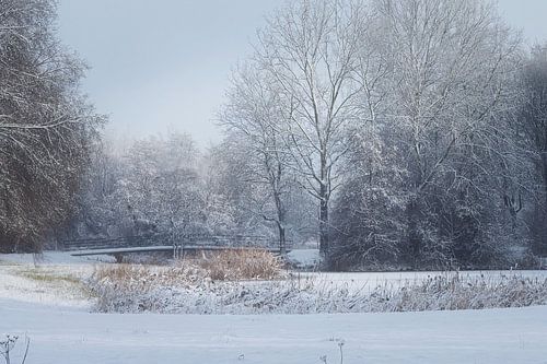 Westerpark dans la neige