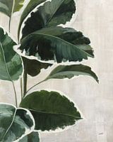 Tropische studie i, Julia Purinton