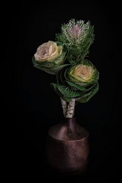 Still life Brassica in a vase "Dutch pot"