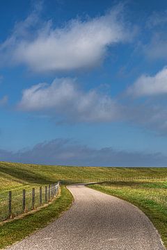 Fietspad langs de Friese Waddendijk en het Noorderleeg van Harrie Muis