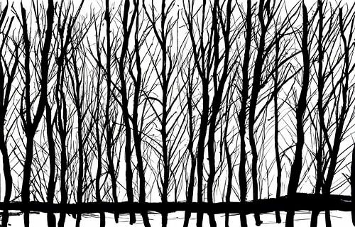 Illustration de bouleaux dénudés alignés, en noir et blanc sur Patricia Hofmeester