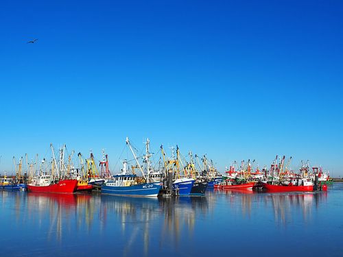 Kleurrijke vissersschepen in de haven van Lauwersoog op een winterse dag