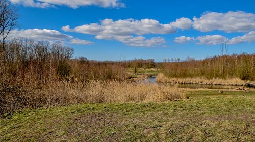 Naturschutzgebiet Broekpolder