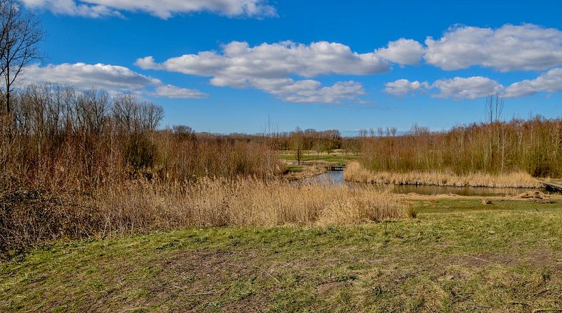 Broekpolder nature reserve by Patricia van den Bos