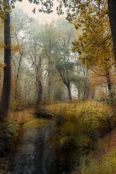 Wolfhezerheide part 147 by Tania Perneel
