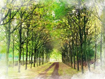 Lindenlaan, Heerde, Gelderland.