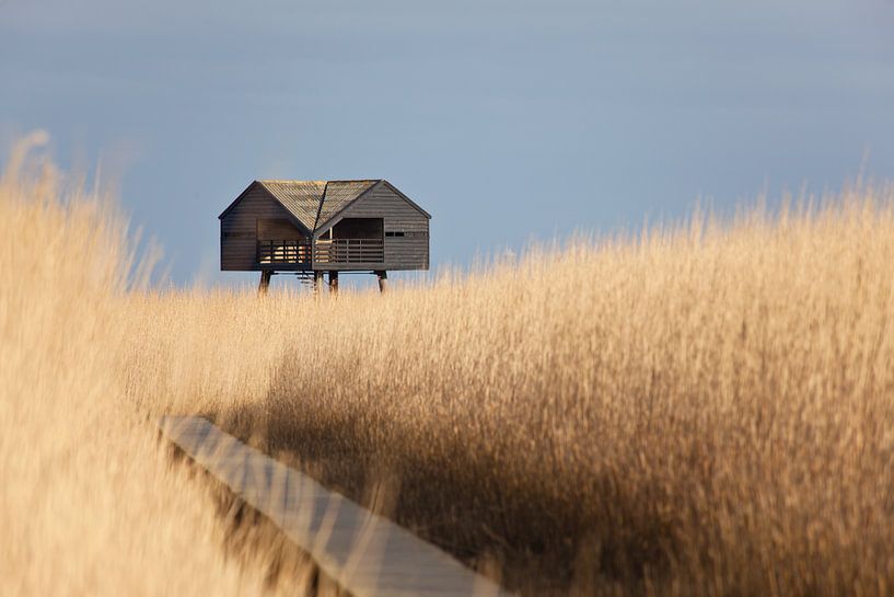 Kiekkaaste, Northeast Groningen. by Titus van 't Veer