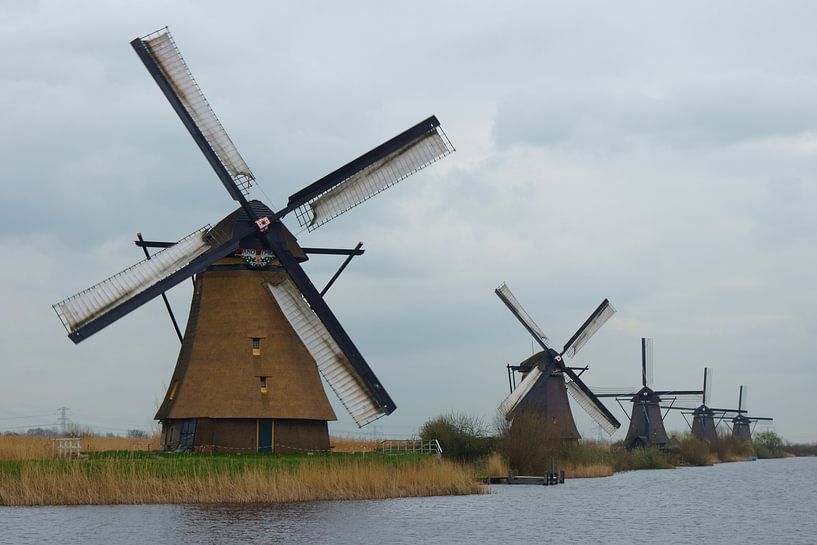 Kinderdijk von Michel van Kooten