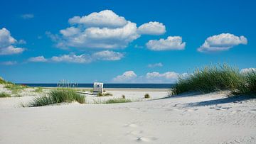 Vakantie op Amrum van Reiner Würz / RWFotoArt