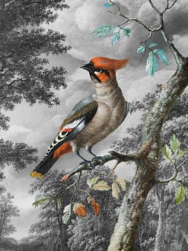 The Bird in the Woods van Marja van den Hurk