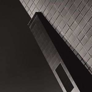 Delftse Poort Monochrome