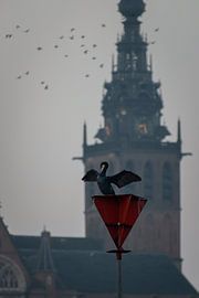 The St. Stevens tower at Nijmegen by Femke Straten