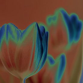 Alienation tulip by Dieter Walther