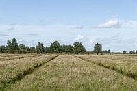 binnendijks - buitendijks foto 4