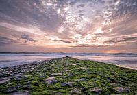 Brise-lames Schoorl