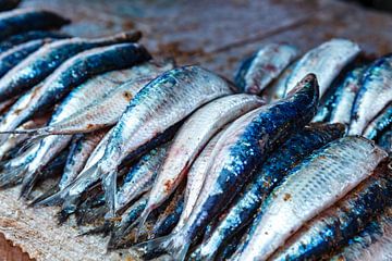 Sardines at a fish market in Negombo, Sri Lanka by WorldWidePhotoWeb