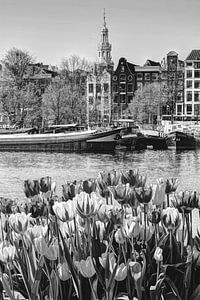 Innere Stadt von Amsterdam Niederlande Schwarz und Weiß