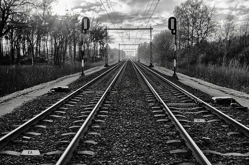 Railroad steel