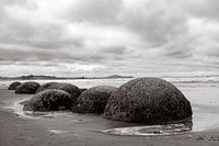 Steine aus den Moeraki Boulders in Neuseeland
