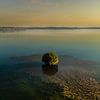 Eenzame boom in een prachtig meer bij zonsopgang van Jan Hermsen