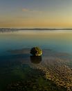Lonely tree in a beautiful lake at sunrise by Jan Hermsen thumbnail