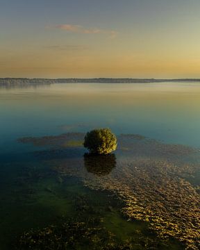 Eenzame boom in een prachtig meer bij zonsopgang van Jan Hermsen