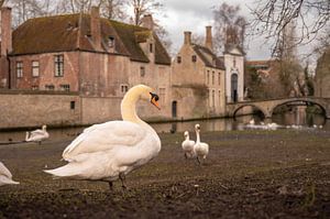 Brugge part 3