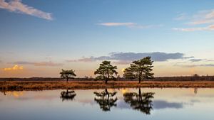 Sonnenuntergang im Nationalpark Dwingelderveld