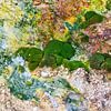 Details Krýsuvík van Danny Slijfer Natuurfotografie