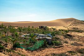 Groen tegen de Duinen van jorryt Meijer