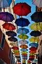 Paraplu van Yvette Meijer thumbnail