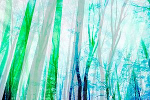 Sommer Wald