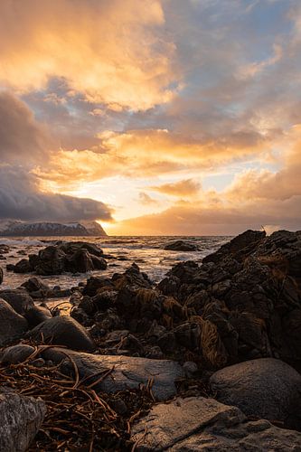 Zonsondergang Lofoten Noorwegen