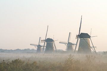 Kinderdijk in holland van Marcel Derweduwen