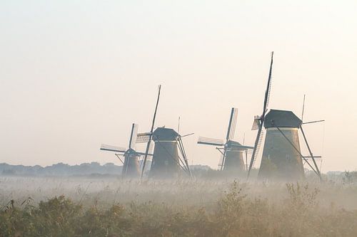 Kinderdijk in holland