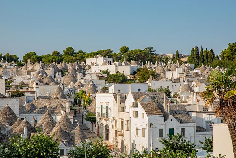 Alberobello, trulli hoofdstad van Puglia (Apulië) van Laura V