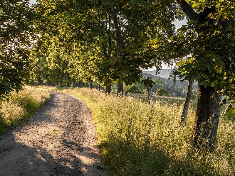 Pfaffendorf, Sächsische Schweiz - Feldweg nach Königstein von Pixelwerk