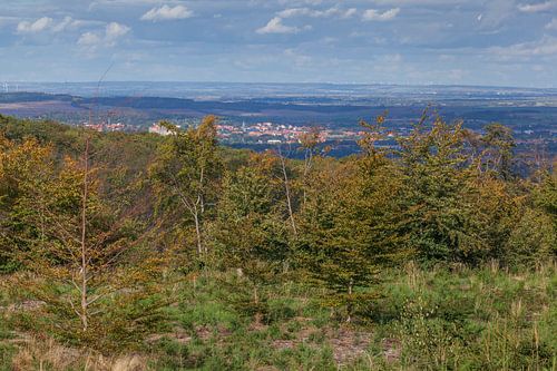 Landschaft im Hebst, Gernrode