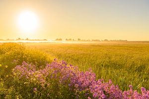 Frühmorgens Sonnenaufgang während eines schönen Frühlingstages über dem Zwartendijk
