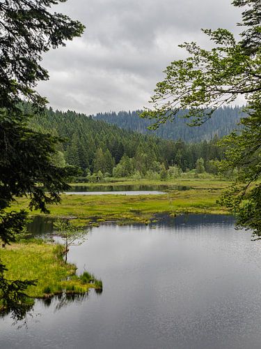 Lac de montagne dans les Vosges