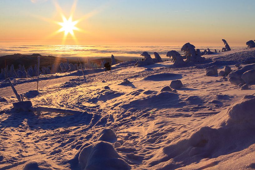 The chunk in the winter dress by Karina Gebert