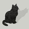 Chat à pois sur Qeimoy